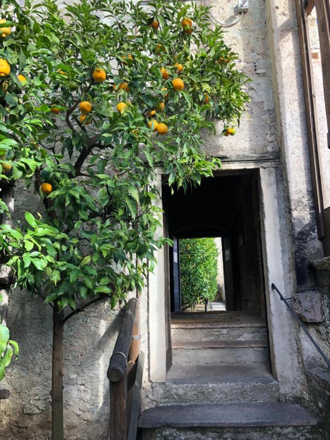 Appartamento Trentino II Комано-Терме Экстерьер фото